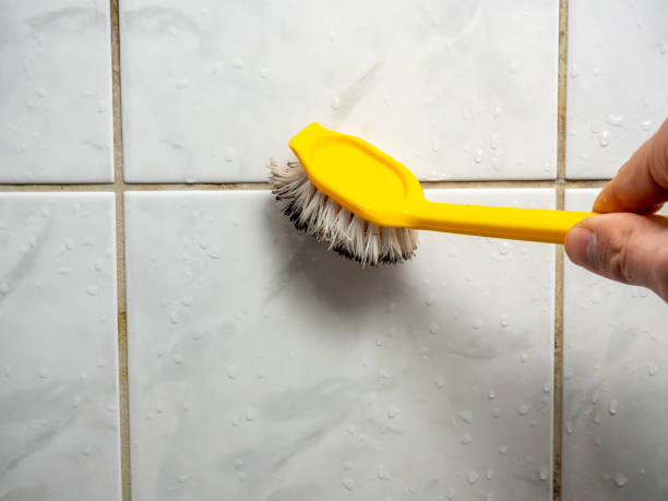 Best Same-Day Mold Removal  in El Rio, CA