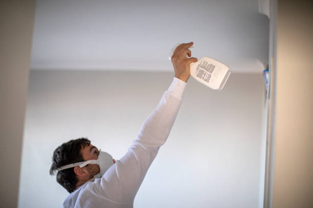 Best Attic Mold Removal  in El Rio, CA