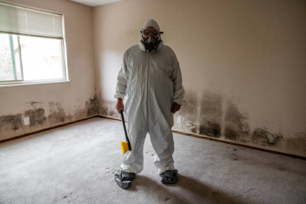 Best Residential Mold Removal  in El Rio, CA